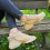 Sneakersi dama din piele ecologica Bej Sheila